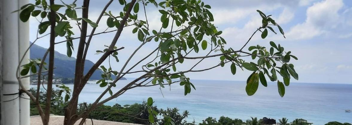 Northwest Bay Seaview Apartment Beau Vallon  Buitenkant foto